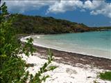 Escondida Beach of Vieques - VIEQUES